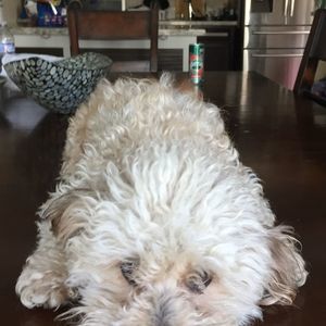 Meet your Posher, Lorena